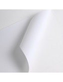 FRONT2V2M - Bâche Polyester Haut de gamme Mat